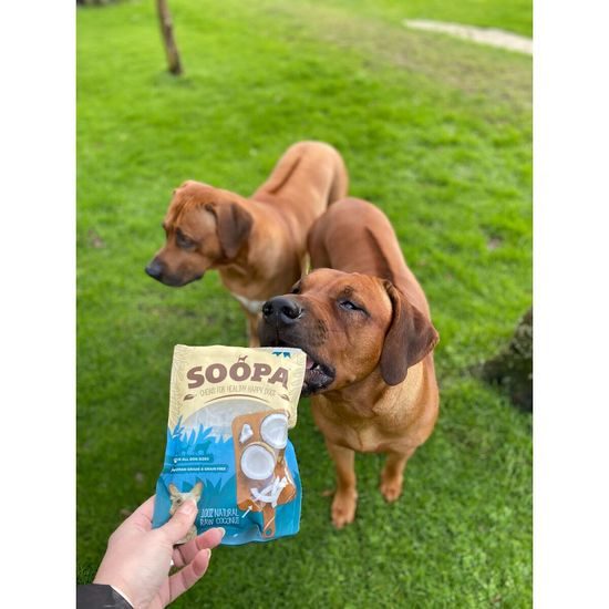 Soopa Pets Natural Chews Kokos 100 g