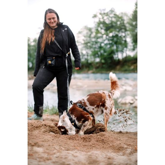 Woolly Wolf Roam Harness