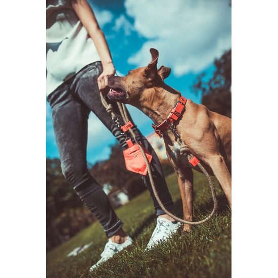 FUNKY DOG korálově Červený Piñatex obojek