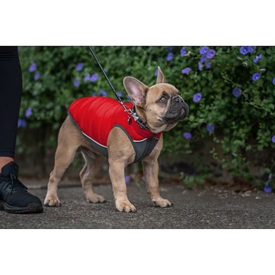 Red Dingo Puffer Jacket Červená / Oranžová velikost bundy 25 cm