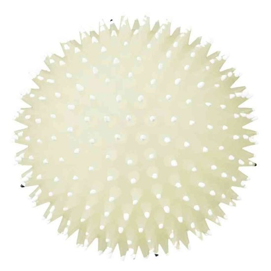 Trixie Ježek míč fosforeskující se zvukem 10 cm