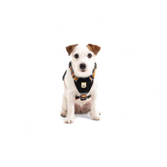 Woolly Wolf Nightless Night Harness