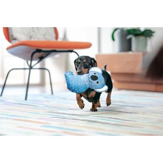 Red Dingo Durables Koala Kim