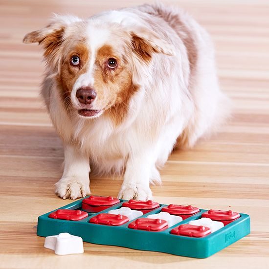 Nina Ottosson Pamlskový hlavolam