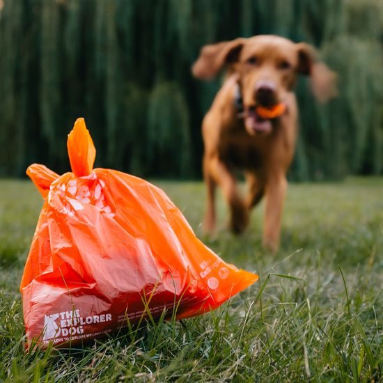 EXPLORER DOG Sáčky na psí hovínka