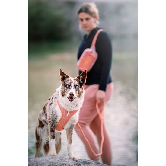 Woolly Wolf Alpha 360 Hip Pack