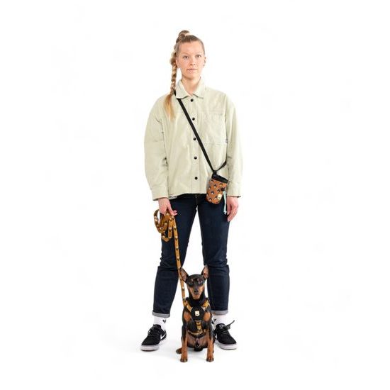 Woolly Wolf Sea To Summit Harness