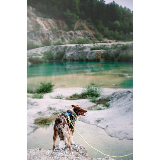 Woolly Wolf Rope Leash