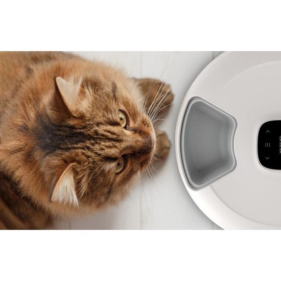 Petoneer NutriSpin Inteligentní dávkovač na suché i mokré krmivo