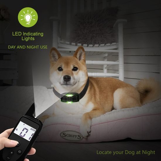 Reedog Elektronický obojek P20