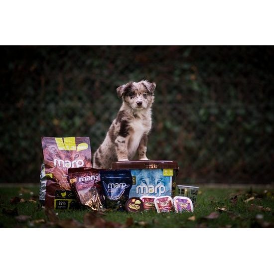 Štěněčí balíček s krmivem 1ks