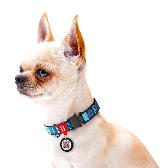 WAUDOG Obojek nylonový Ethno Blue QR fastex