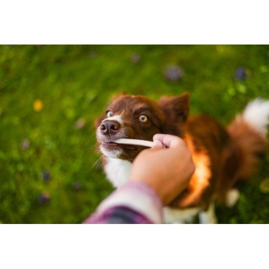 Løype Tyčinky Quacky bounty