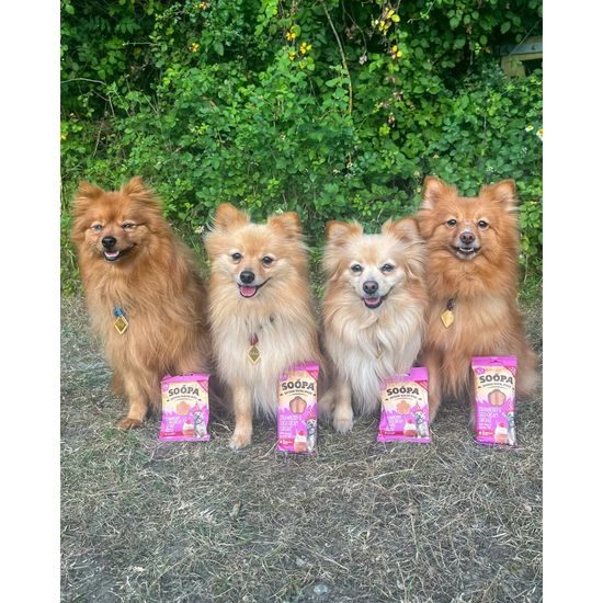 Soopa Pets Soopa Healthy Bites Cupcake s jahodami a kokosem 50 g