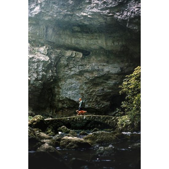 Woolly Wolf Roam Harness