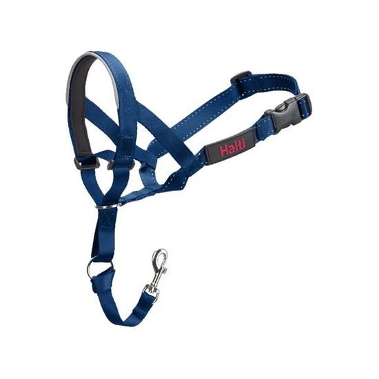 Halti Ohlávka nylon Halti modrá vel. 2 - kokr, pudl COA