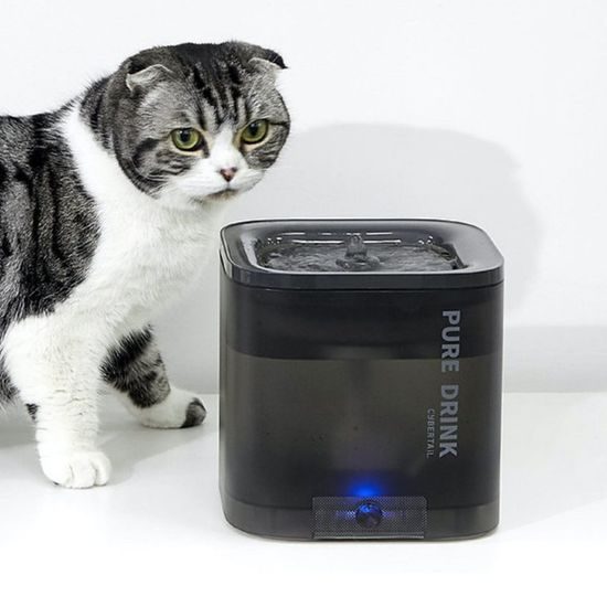 Petkit Eversweet Solo