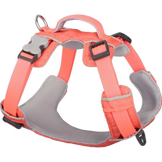 Red Dingo postroj Sport Hi-Vis Peach 20 mm x 47-64 cm