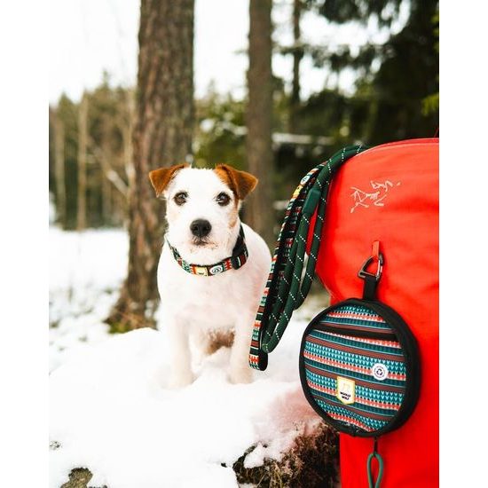 Woolly Wolf Woodland Collar