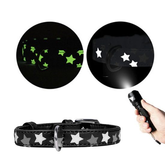 WAUDOG Obojek kožený Stars