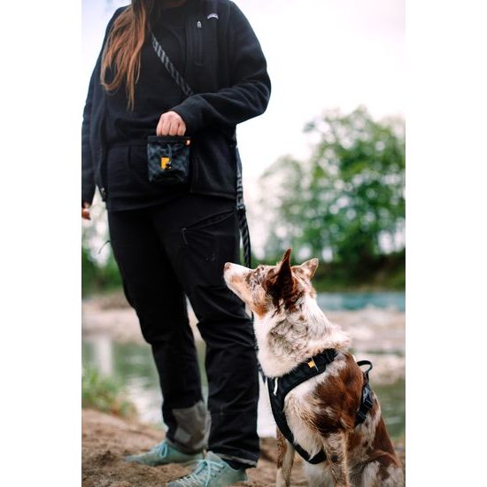 Woolly Wolf Roam Harness