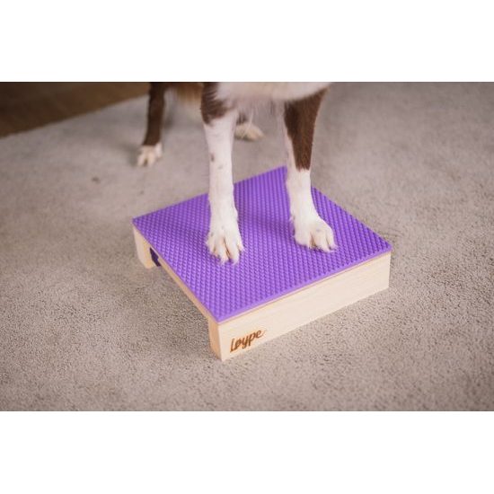 Løype Target Hamtal Markfit