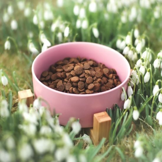 Aminela keramická miska v dřevěném stojanu růžová 750ml