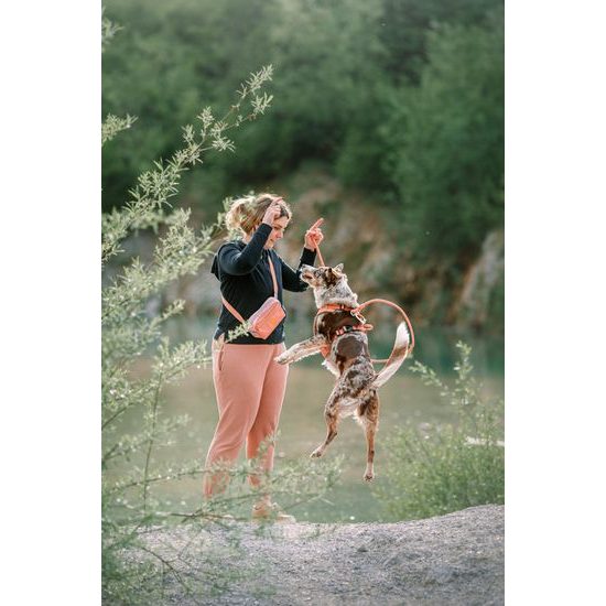 Woolly Wolf Rope Leash