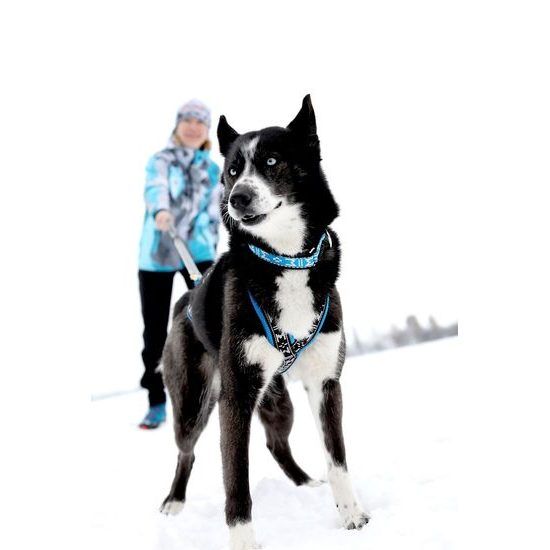 ManMat postroj RUN LONG