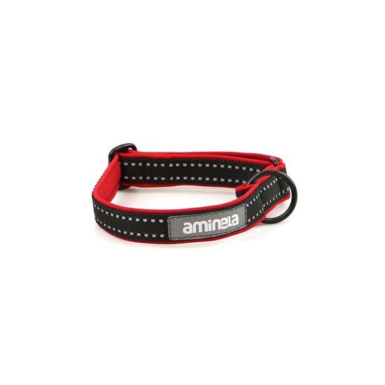 Aminela klasik obojek Sport & City 25mm/35-70cm červená