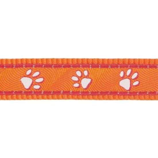 Red Dingo Obojek 20 mm x 30-47 cm Desert Paws Orange