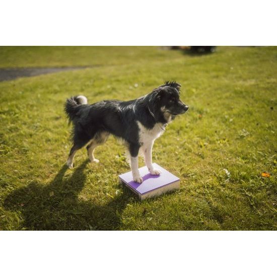 Løype Target Hamtal Markfit