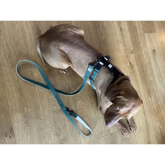 FUNKY DOG Konopný postroj pro psa zeleno černý