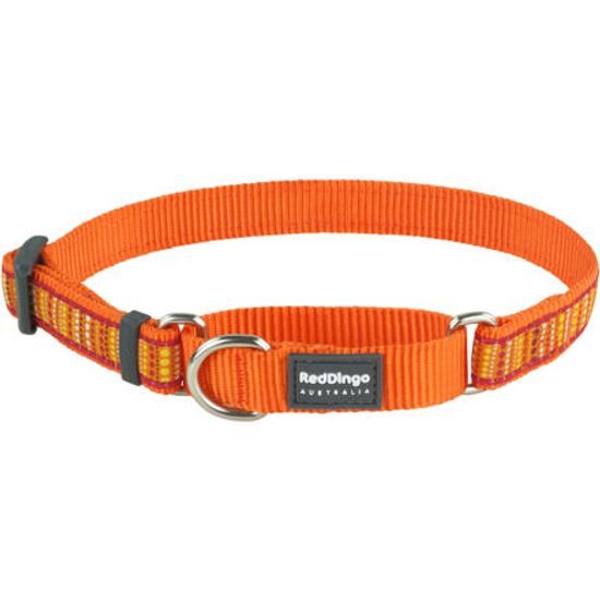 Red Dingo Obojek polostahovací 15 mm x 26-40 cm Lotzadotz Orange