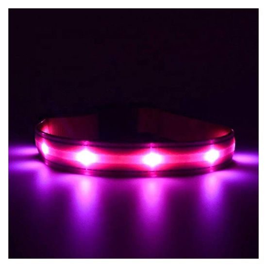 BENTECH Svítící LED obojek Bentech DC1200 modrý