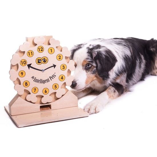 My Intelligent Pets Dřevěný hlavolam Clock