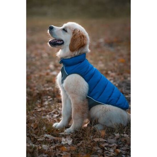 Red Dingo Puffer Jacket Modrá / Tyrkysová velikost bundy 60 cm