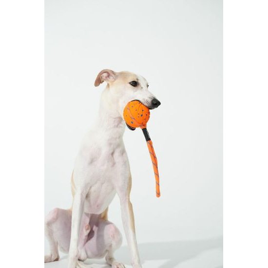 Cheerble Wicked Ball Air Rope