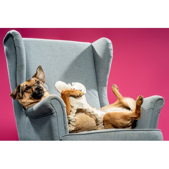 FUNKY DOG Slintoš ušatý přírodní hračka pro psa