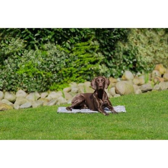 Trixie Chladící podložka Soft