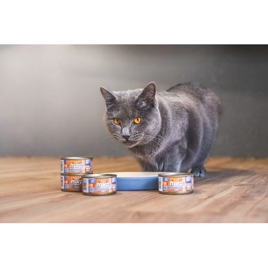 Marp Holistic Plus konzerva pro kočky Tuňák se sardinkami a borůvkami v želé 24x70g