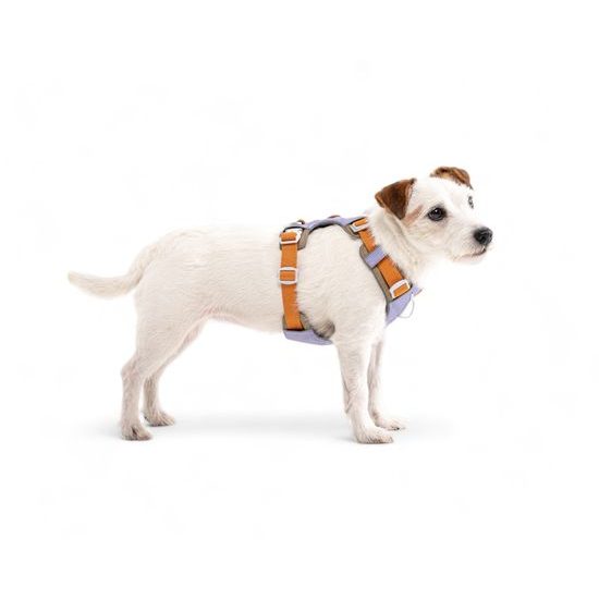 Woolly Wolf Alpha 360 Harness