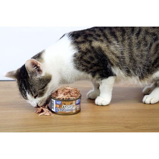Marp Holistic Plus konzerva pro kočky Tuňák se sardinkami a borůvkami v želé 24x70g