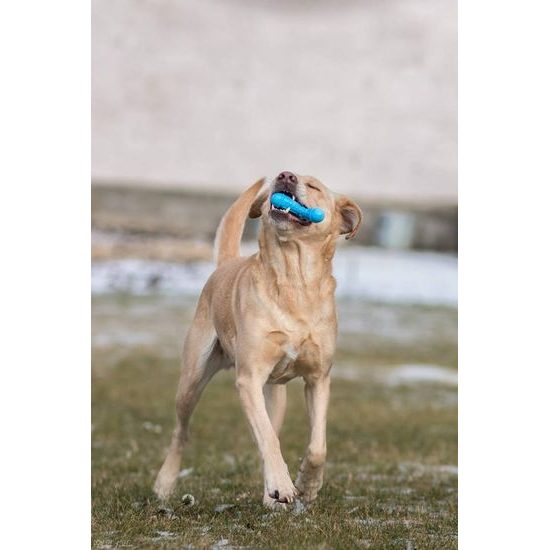 Spunky Pup Kousací hvězda 12cm