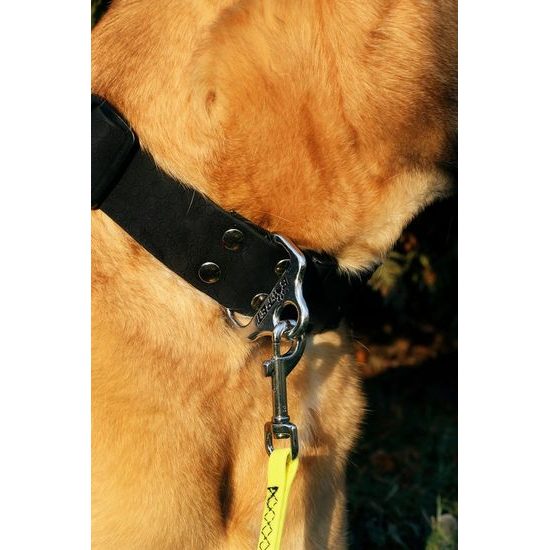 BafPet Stopovací vodítko POLYTRACE zelená