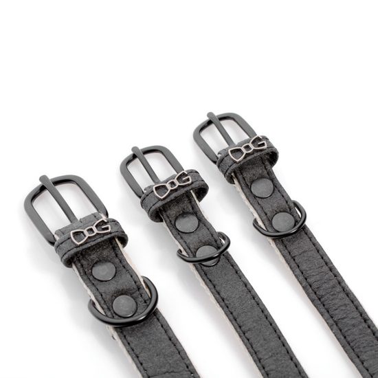 FUNKY DOG Černý Piñatex obojek