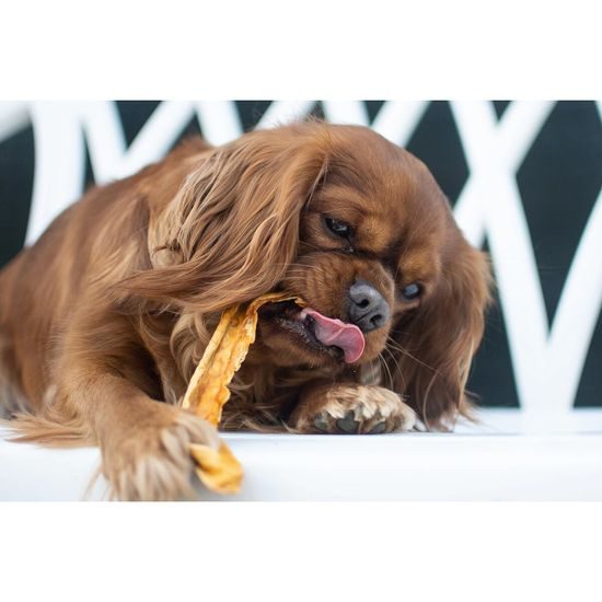 Soopa Pets Natural Chews Papája 85 g