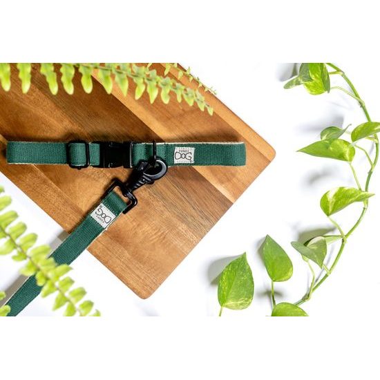 FUNKY DOG Konopný zelený obojek pro psa 2,5 cm