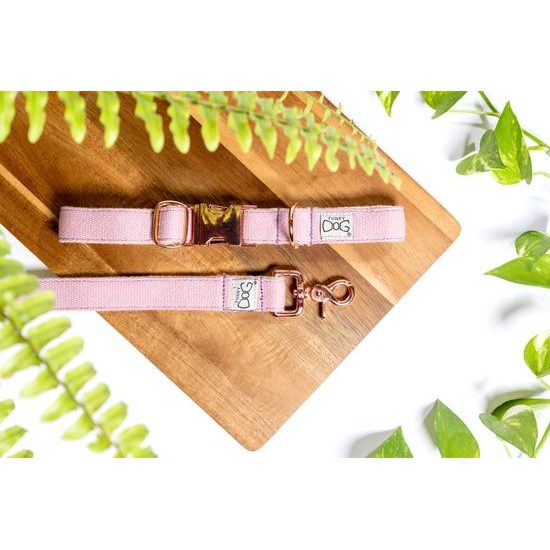 FUNKY DOG Konopný lila obojek pro psa 2,5 cm