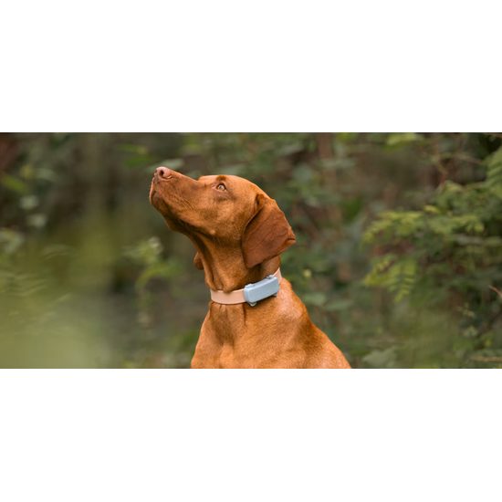 Tractive DOG 6 - GPS lokátor a a monitor zdraví pro psy